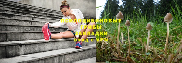 стафф Аркадак