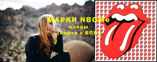 стафф Аркадак